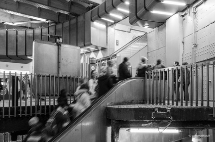 03052024-A1013407webnb