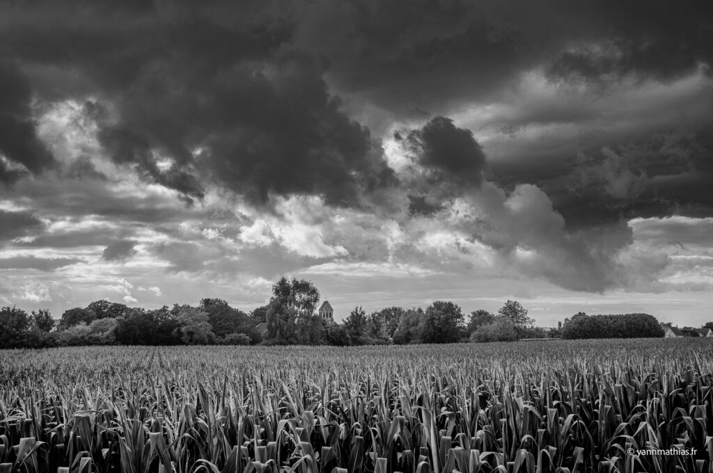 Les ateliers du noir et blanc