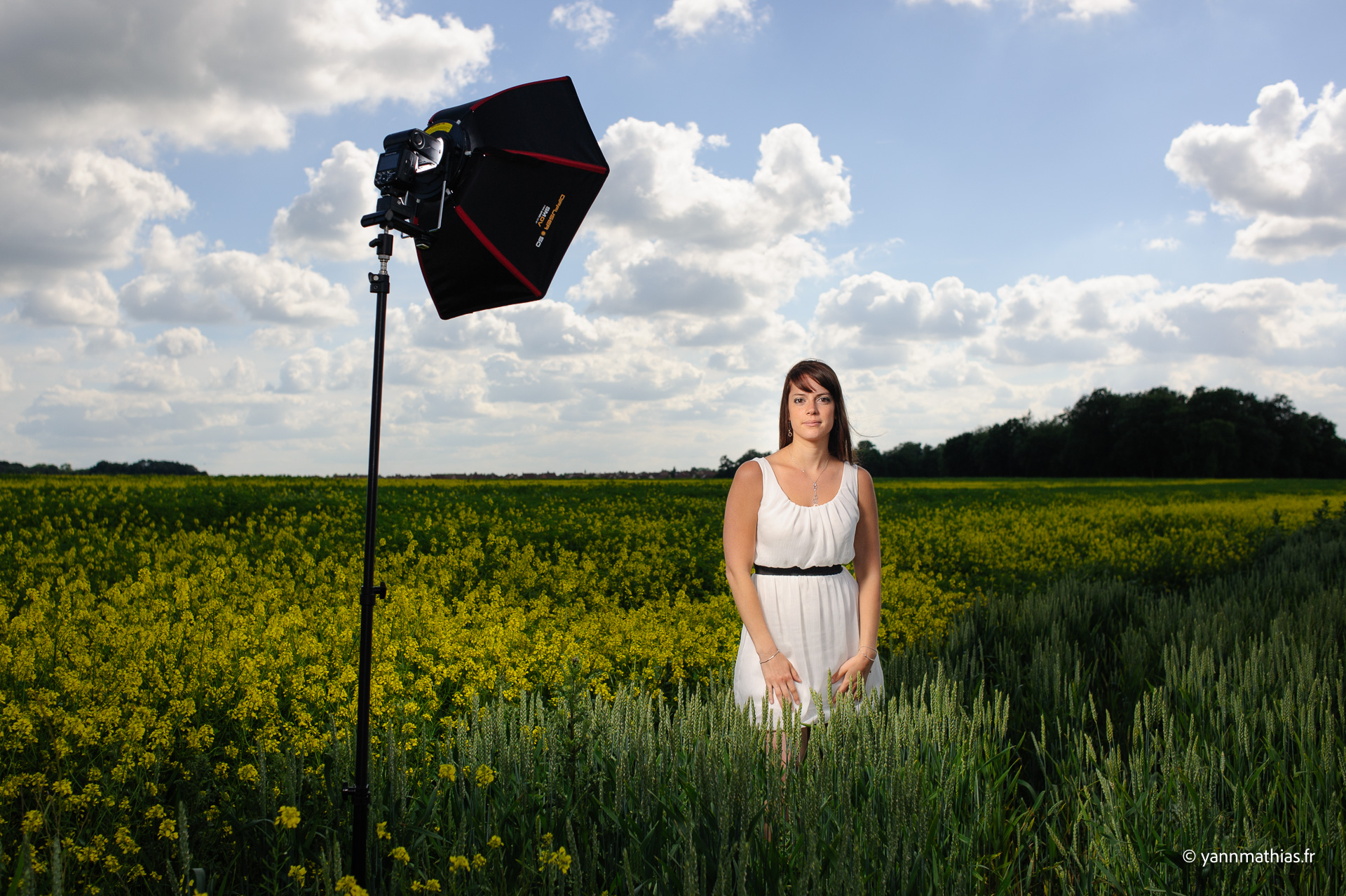 Maîtriser la photo au flash cobra en toutes circonstances - L'art de l ...
