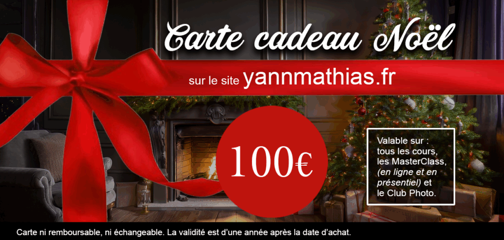 carte cadeau 100 euros